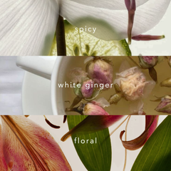 Nippon Daily Botanicals Hand Sanitizer 50ml Sampler Duo (FO/WG)