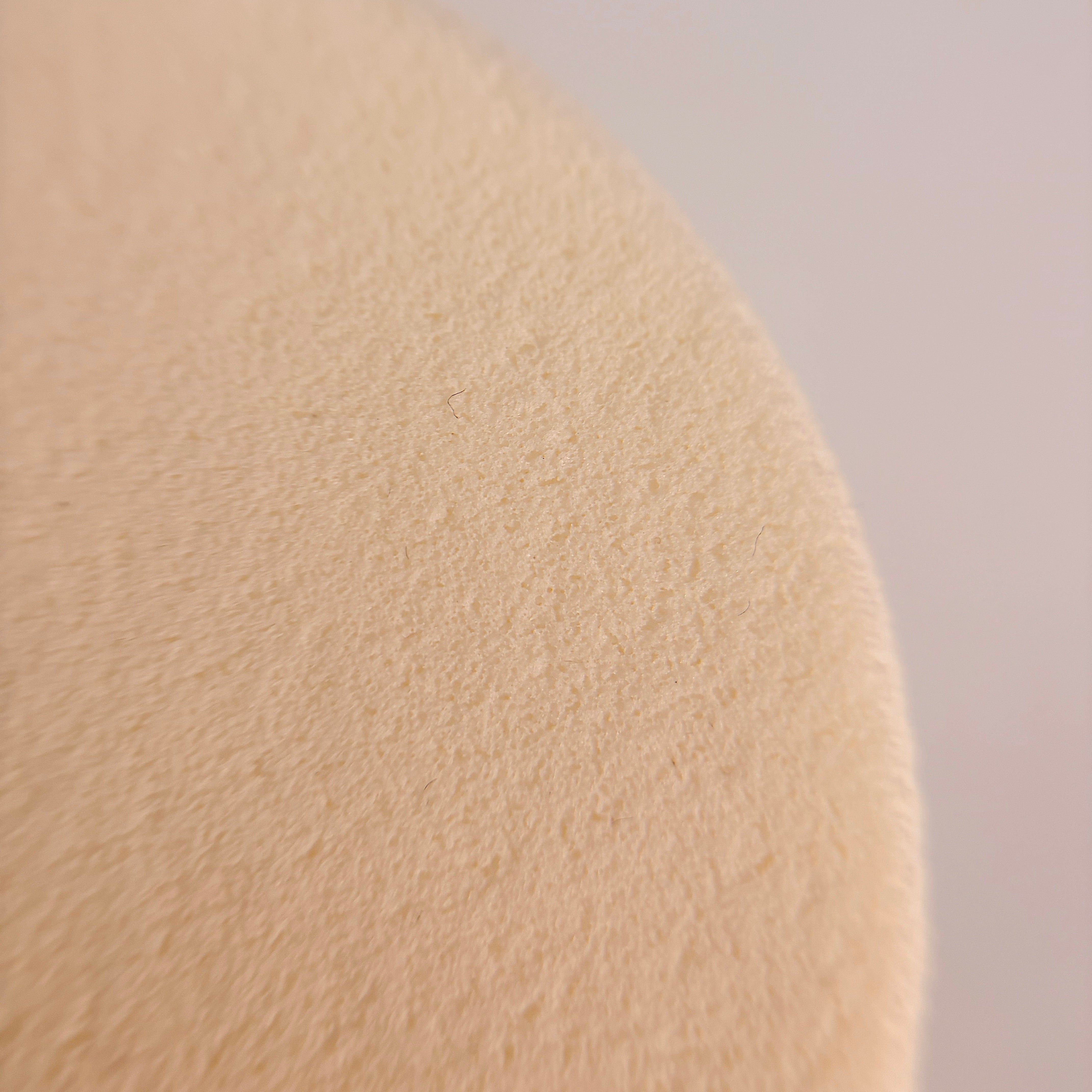 Round Sponge x2 Refill